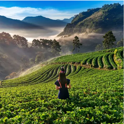 Follow Us On Instagram