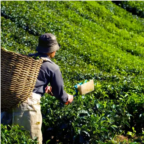 midpage-cta-9 Follow Us On Instagram