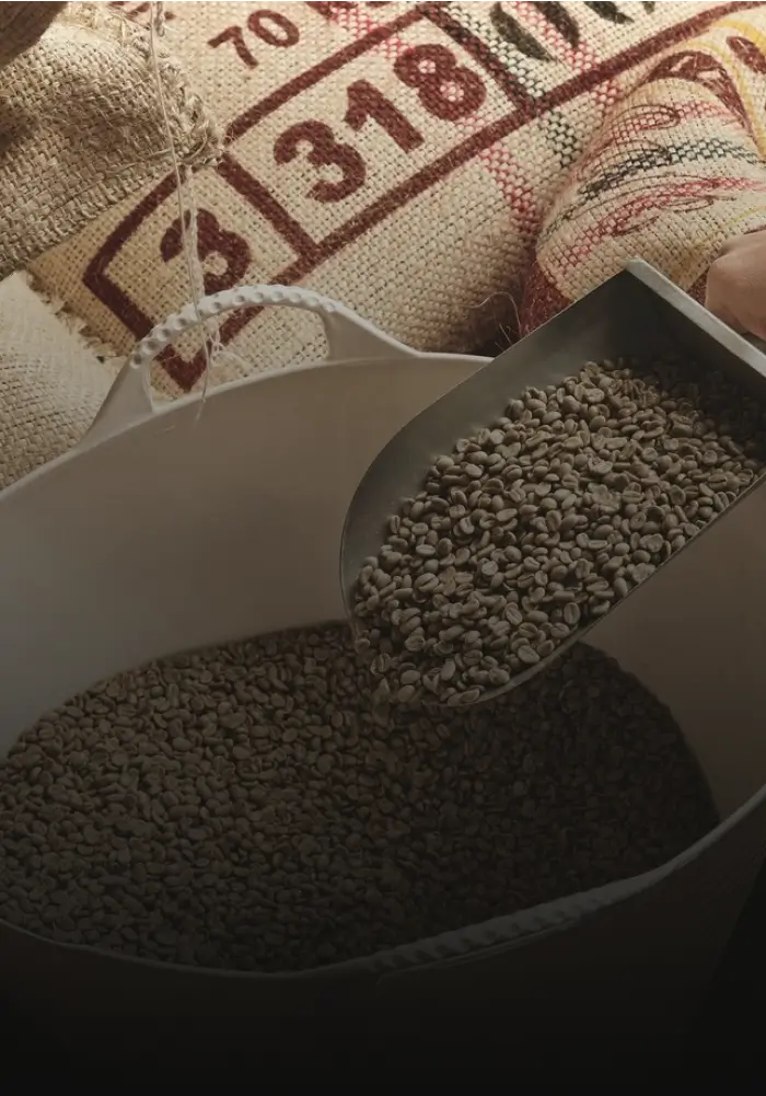 MAR 31, 2020 5:01 PM Coffee Chronicles: Sipping Stories from Around the World